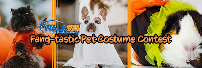 Fang-tastic Pet Costume Contest